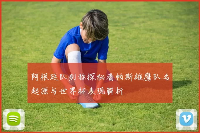 阿根廷队别称探秘潘帕斯雄鹰队名起源与世界杯表现解析