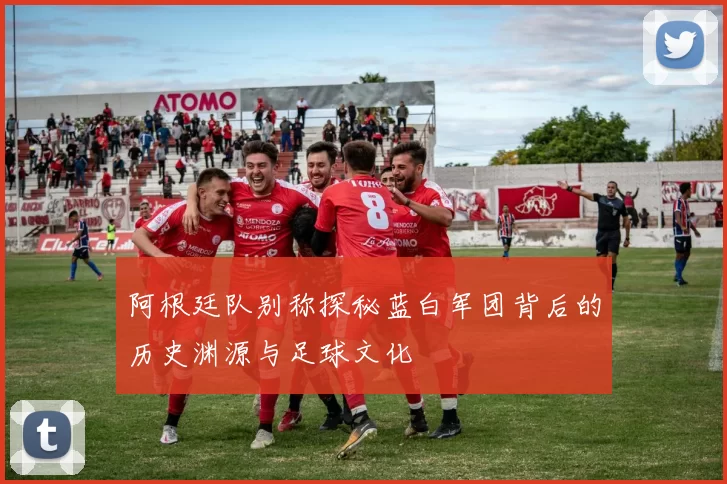 阿根廷队别称探秘蓝白军团背后的历史渊源与足球文化