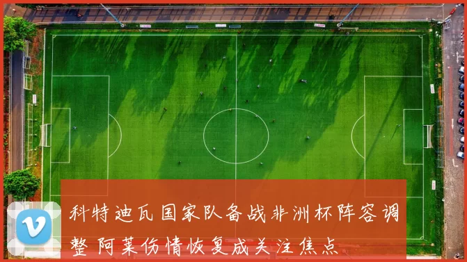 科特迪瓦国家队备战非洲杯阵容调整 阿莱伤情恢复成关注焦点